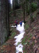 12.23.05 Elowah Falls 019 